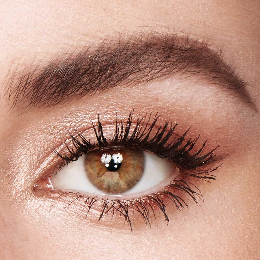 luxury palette